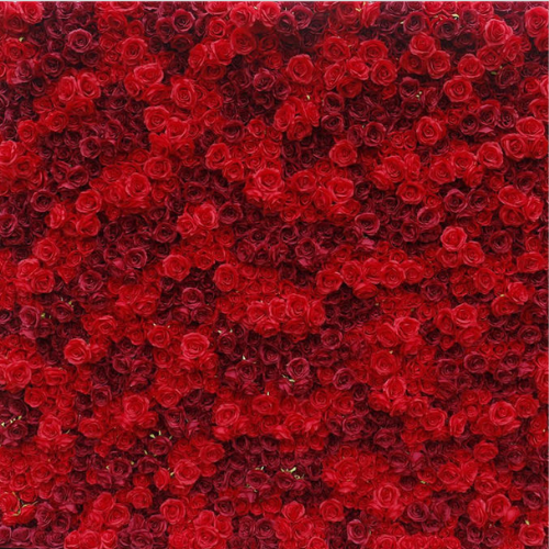 Red Rose Wall